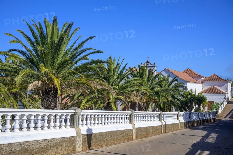 Palm grove at the Iglesia nuestra Senora de La Luz