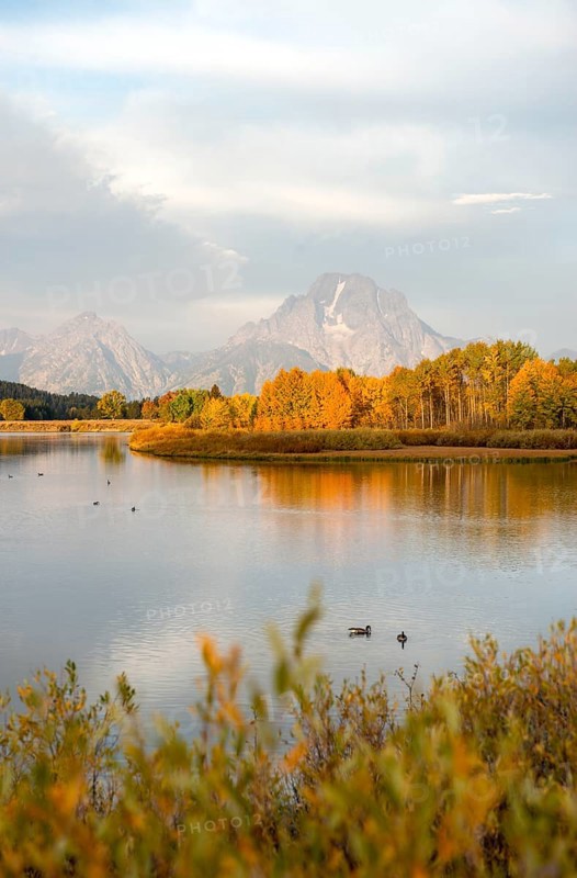 Mount Moran reflected in Snake River