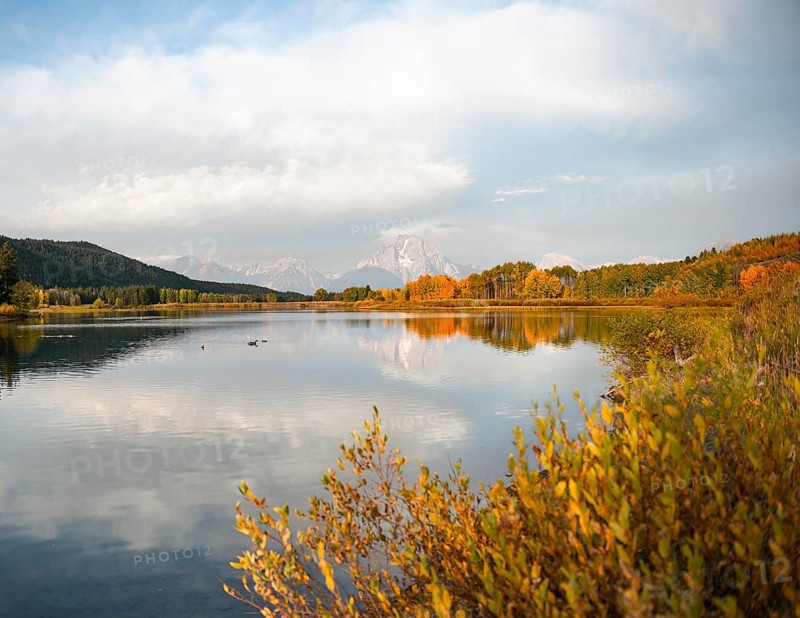 Mount Moran reflected in Snake River