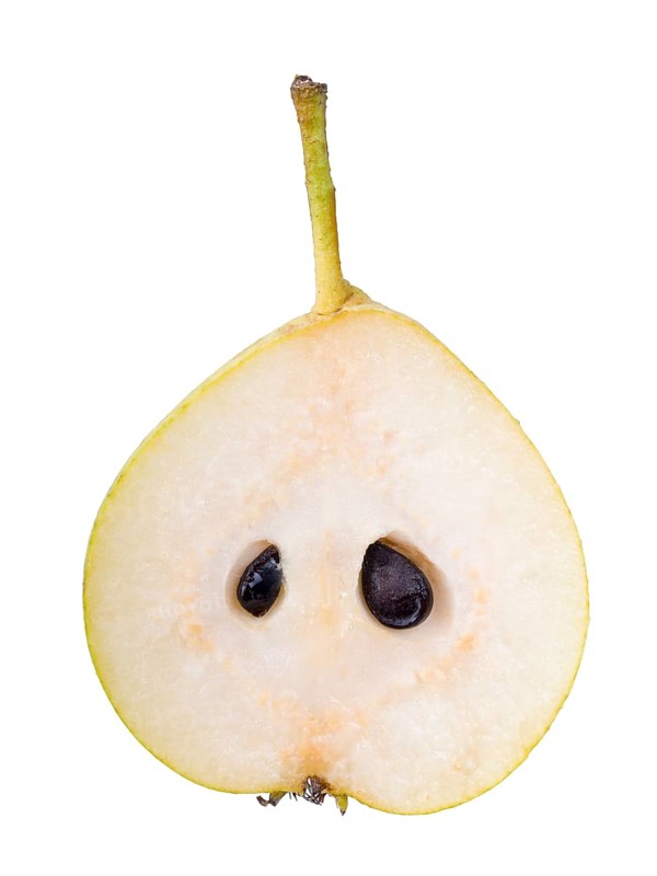 Pear variety Champagne Roast pear