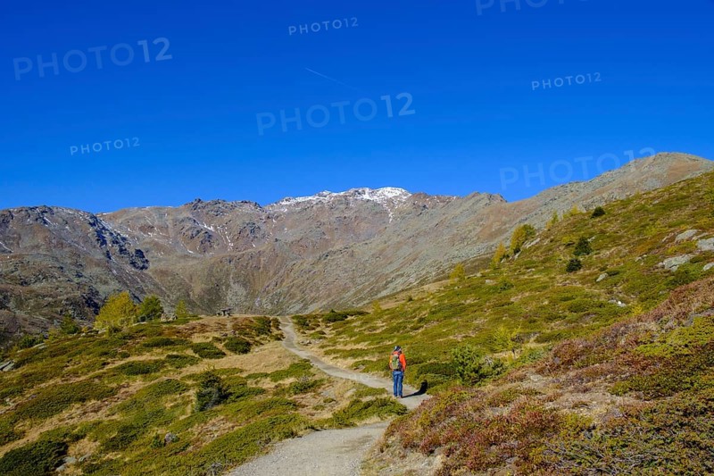 Hikers on the Waldburnnenweg