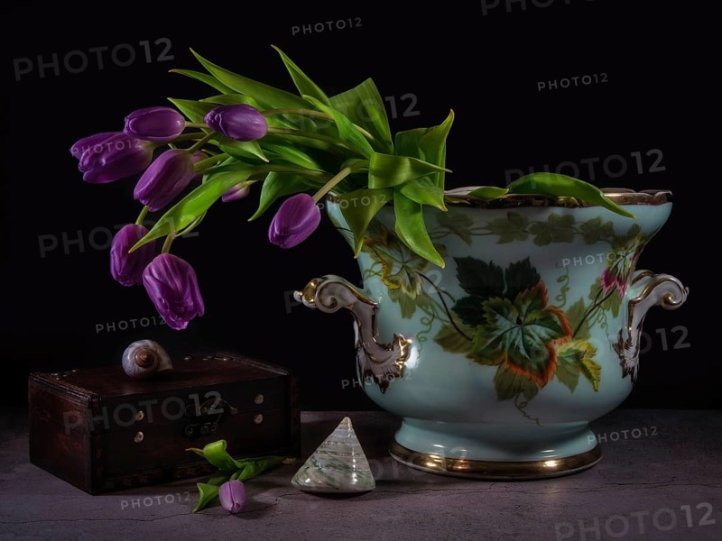 Still Life with Purple Tulips