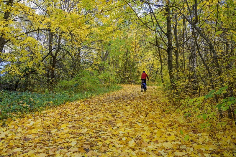 Cyclist on autumnal cycle path
