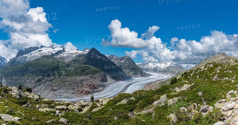 Landscape with the Aletsch Glacier World Heritage Site