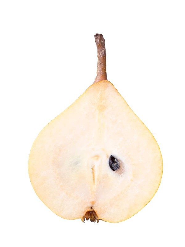 Pear variety Kirchensaller Mostbirne