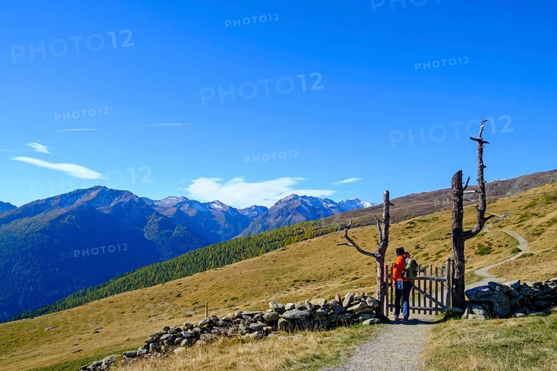 Hikers on the Waldburnnenweg