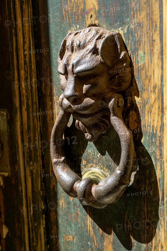 Door knocker with lion's head