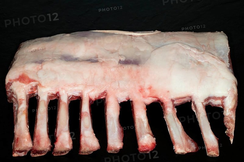 Raw saddle of lamb