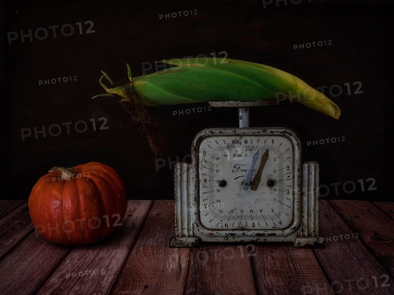 Still Life with Pumpkin and Corn on the Cob on Old Kitchen Scales
