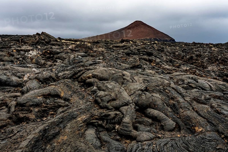 pahoehoe at Montana de Prim
