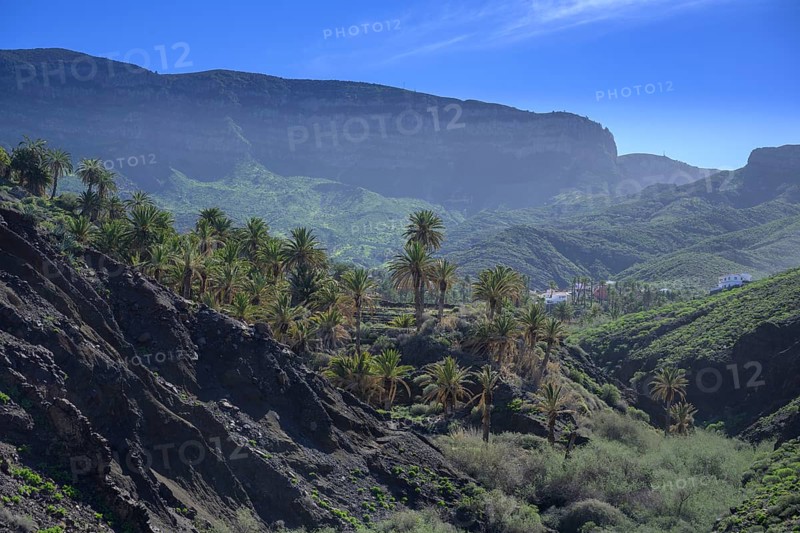 View to a palm grove below the village