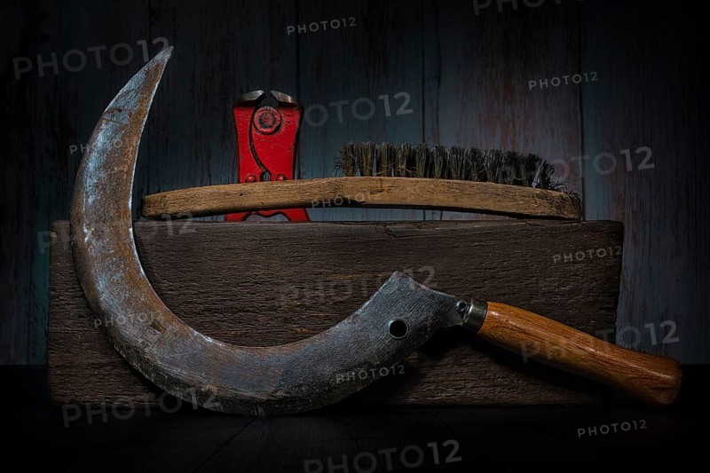 Still Life with Sickle