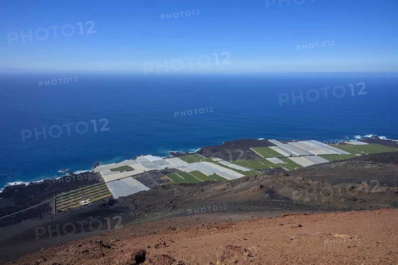 View of banana plantations from Teneguia volcano