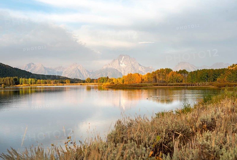 Mount Moran reflected in Snake River