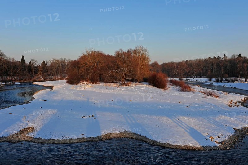White winter landscape with trees on the Isar at the Flaucher