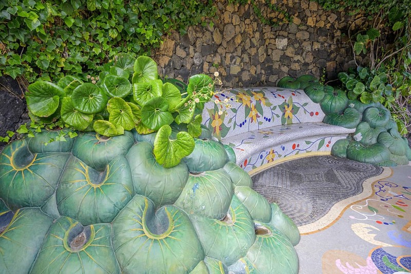 Monstera plant nature turns into art