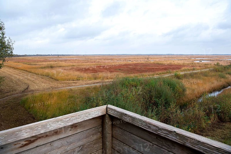 Landscape photograph Stapeler Moor