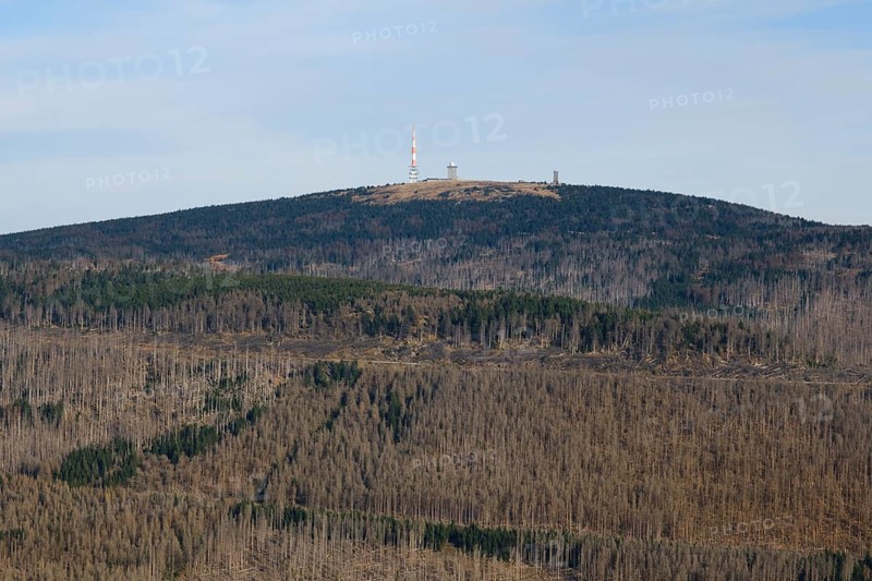 View from the Wurmberg to the summit of the Brocken
