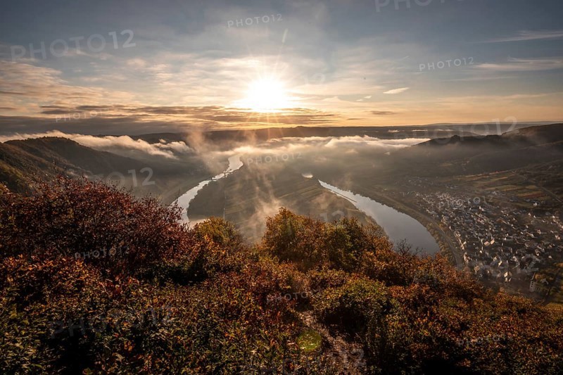 View over the Moselle valley near Bremm in the morning in autumn