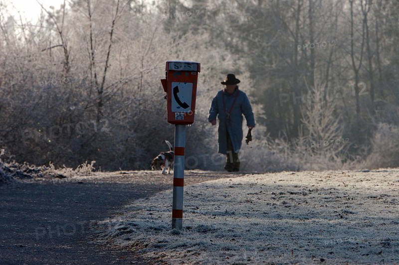 Male walker with dog in park with hoarfrost and emergency phone
