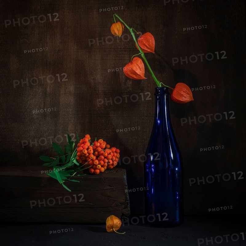 Still Life with Physalis in Blue Bottle Next to Rowan Berries on Wooden Beam