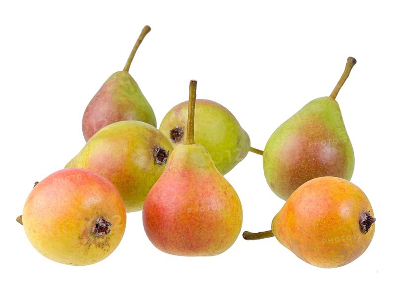 Pear variety Summer muscat pear