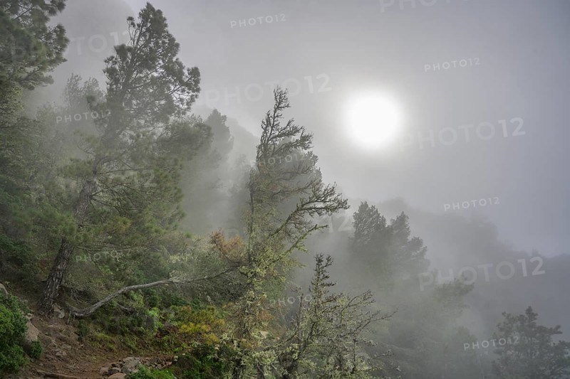 Misty atmosphere during the hike past the Ermita del Santo towards Alojera