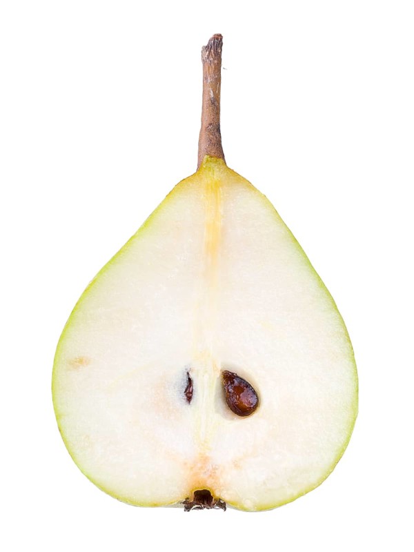 Pear cultivar Gruene Hoyerswerda