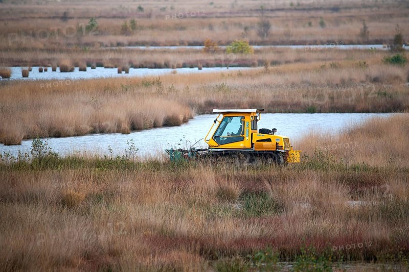 Peatland protection is climate protection