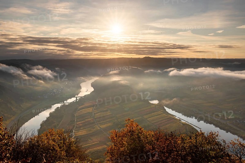 View over the Moselle valley