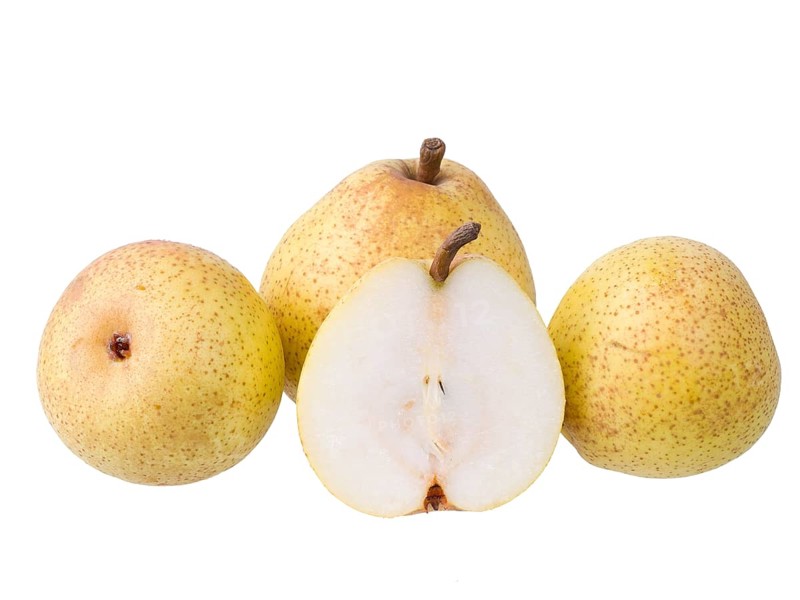 Pear variety Philips pear