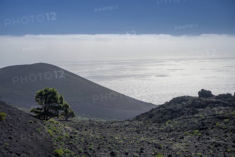 Hike to Teneguia Volcano