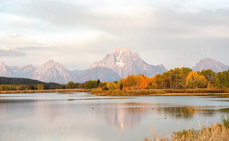 Mount Moran reflected in Snake River