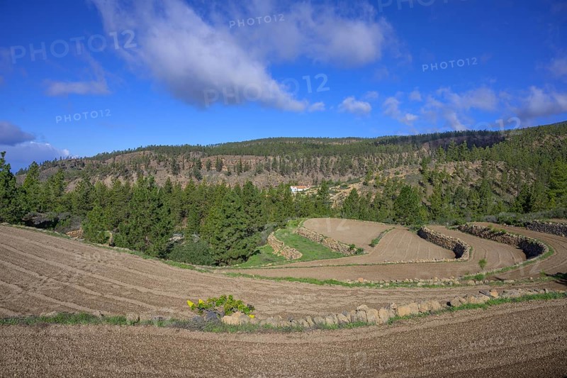 Terraced fields fields above the Barranco del Infierno