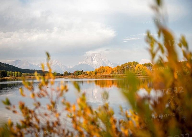 Mount Moran reflected in Snake River