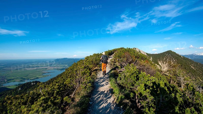 Hiker on a hiking trail between mountain pines