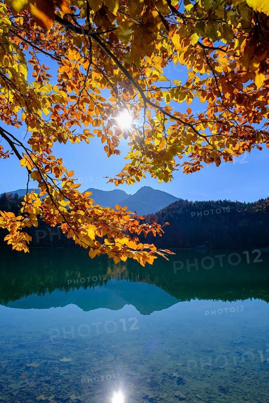 Alatsee near Fuessen