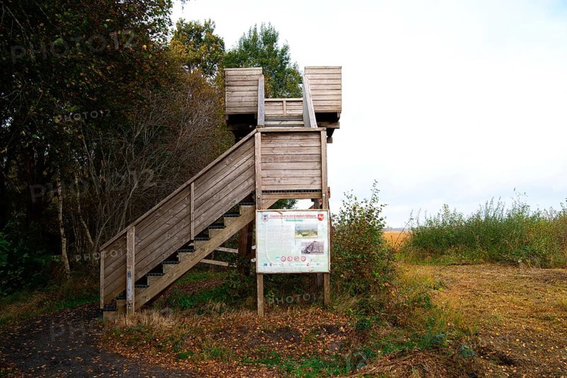 Observation tower at the moor nature trail