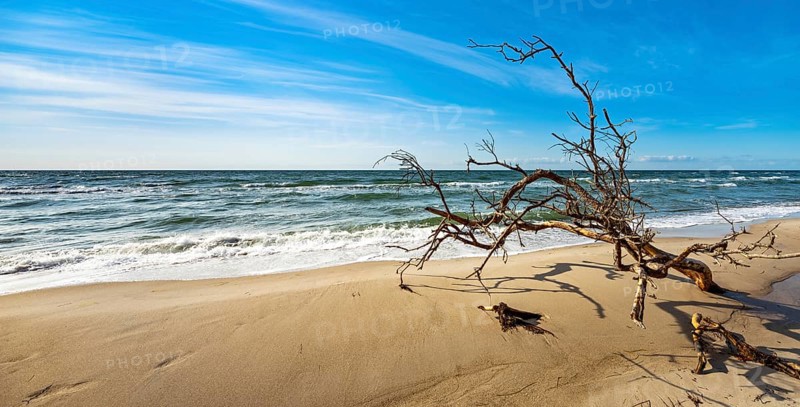 Stormy Baltic Sea in winter