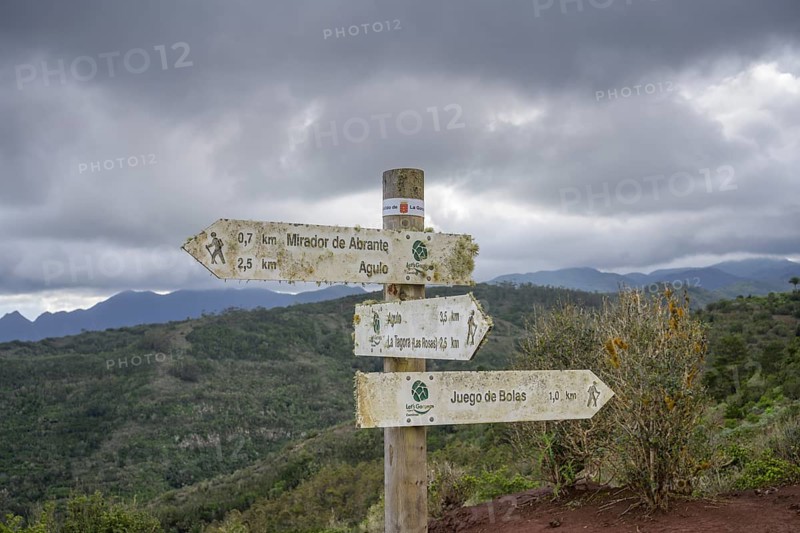 Signpost with lichen
