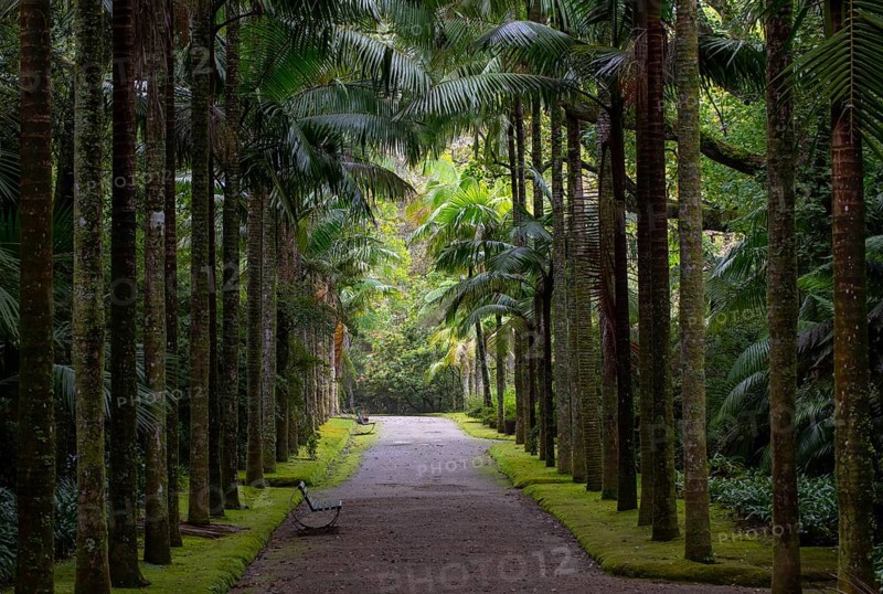 Botanical Garden