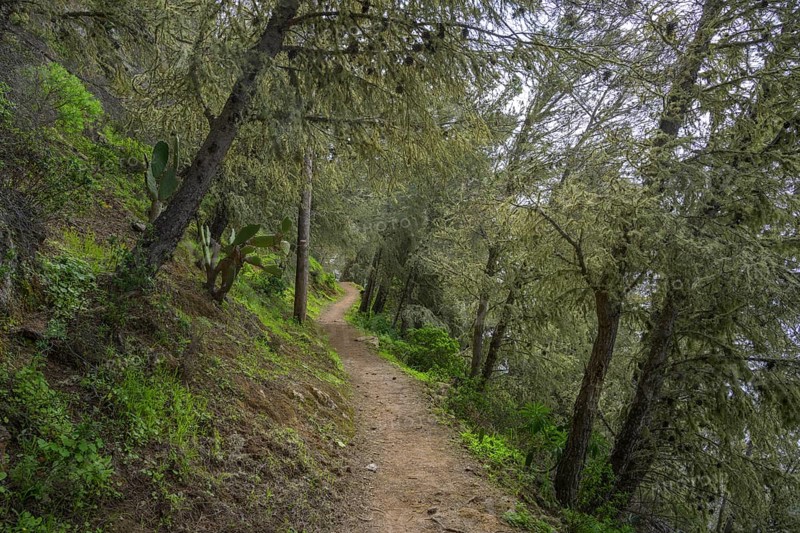 Hike past the Ermita del Santo towards Alojera