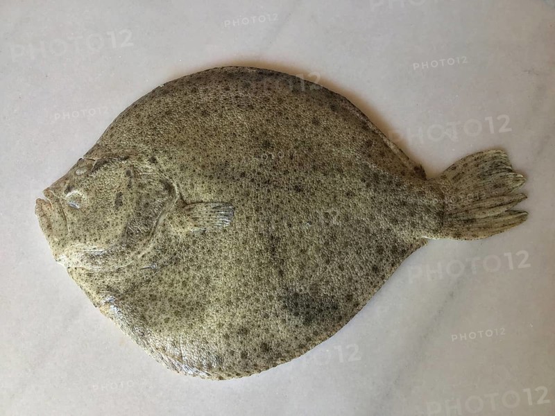 Top view