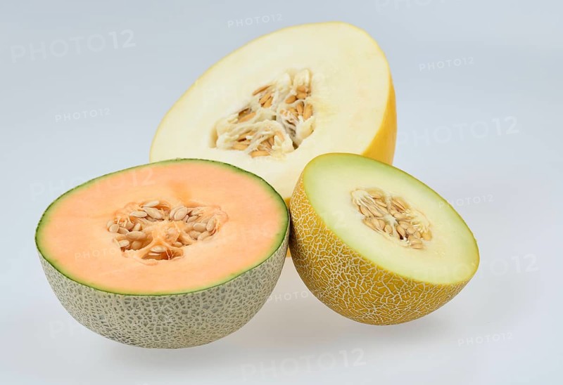 Cantaloupe