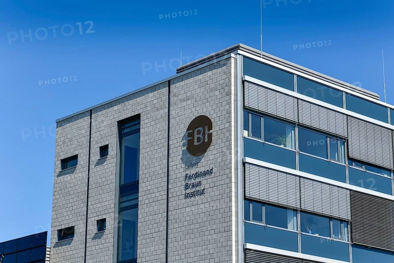 Ferdinand Braun Institute