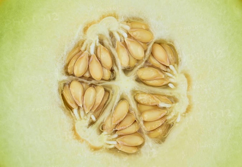 Muskmelon