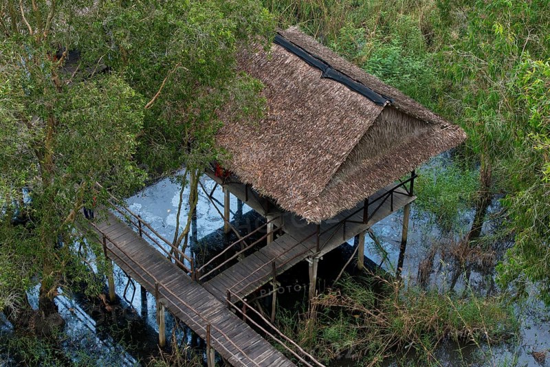 Viewing platform in the mangrove forest