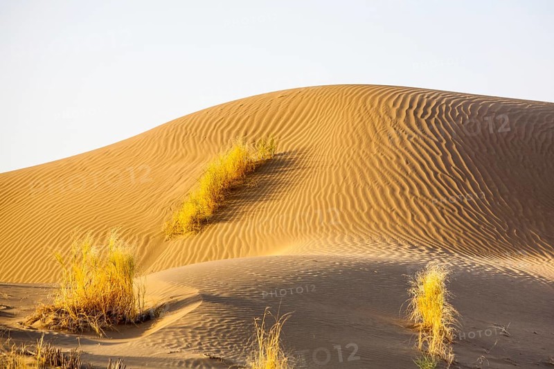 Sand Desert