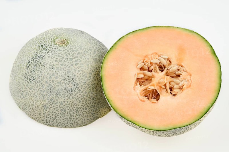 Cantaloupe