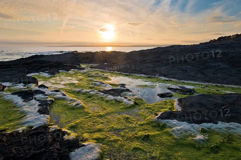 Reflection in the algae at Hook Head Lighthouse